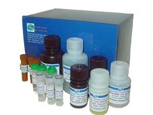 K0024-G418硫酸盐/G-418硫酸盐/抗菌素G-418/抗生素G-418/G418 sulfate _供应信息_商机_中国安防展览网