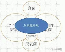 全宇宙最简单明了的抗生素图解指南